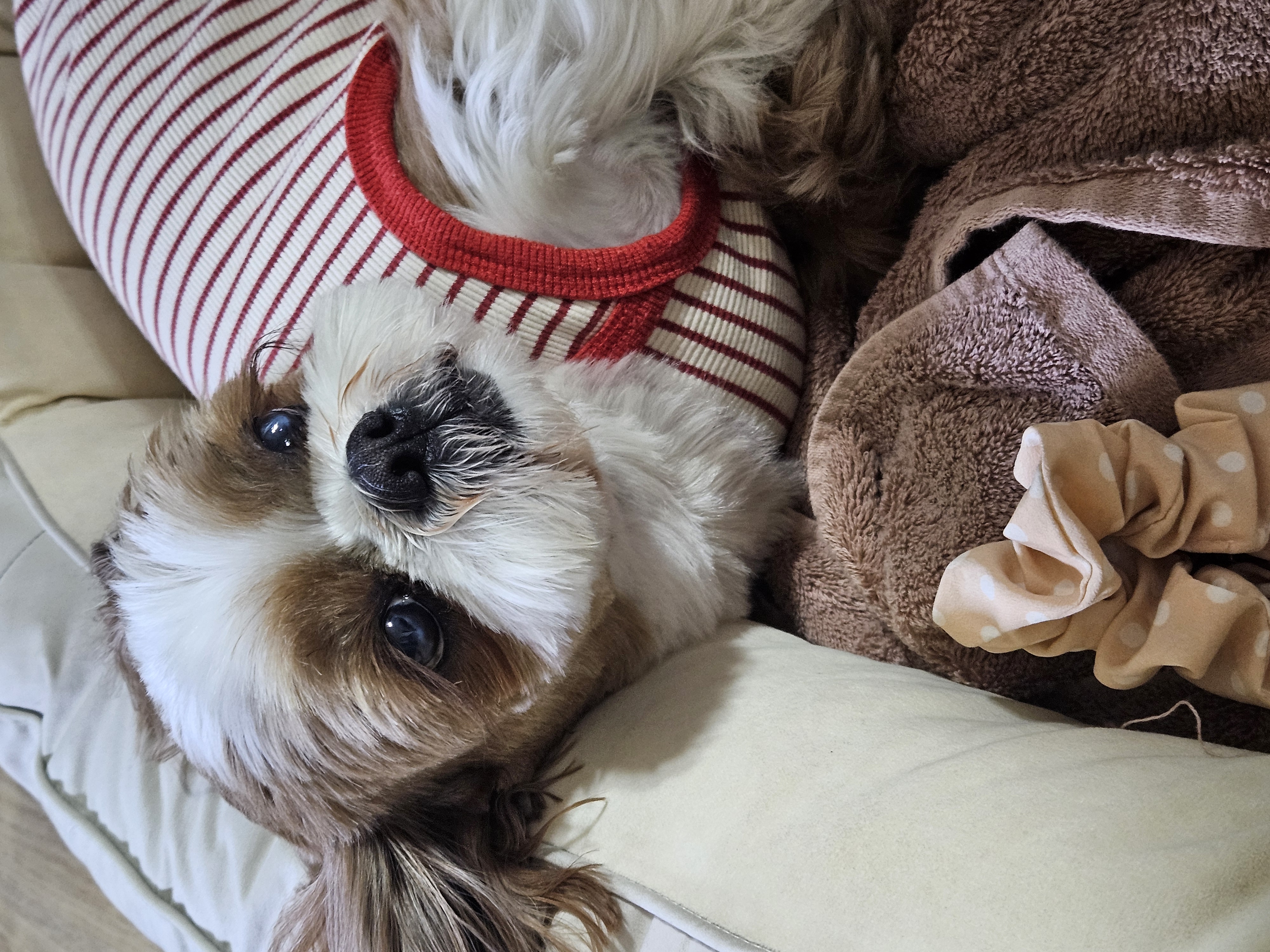 동동이(용자) 1년 되었어요