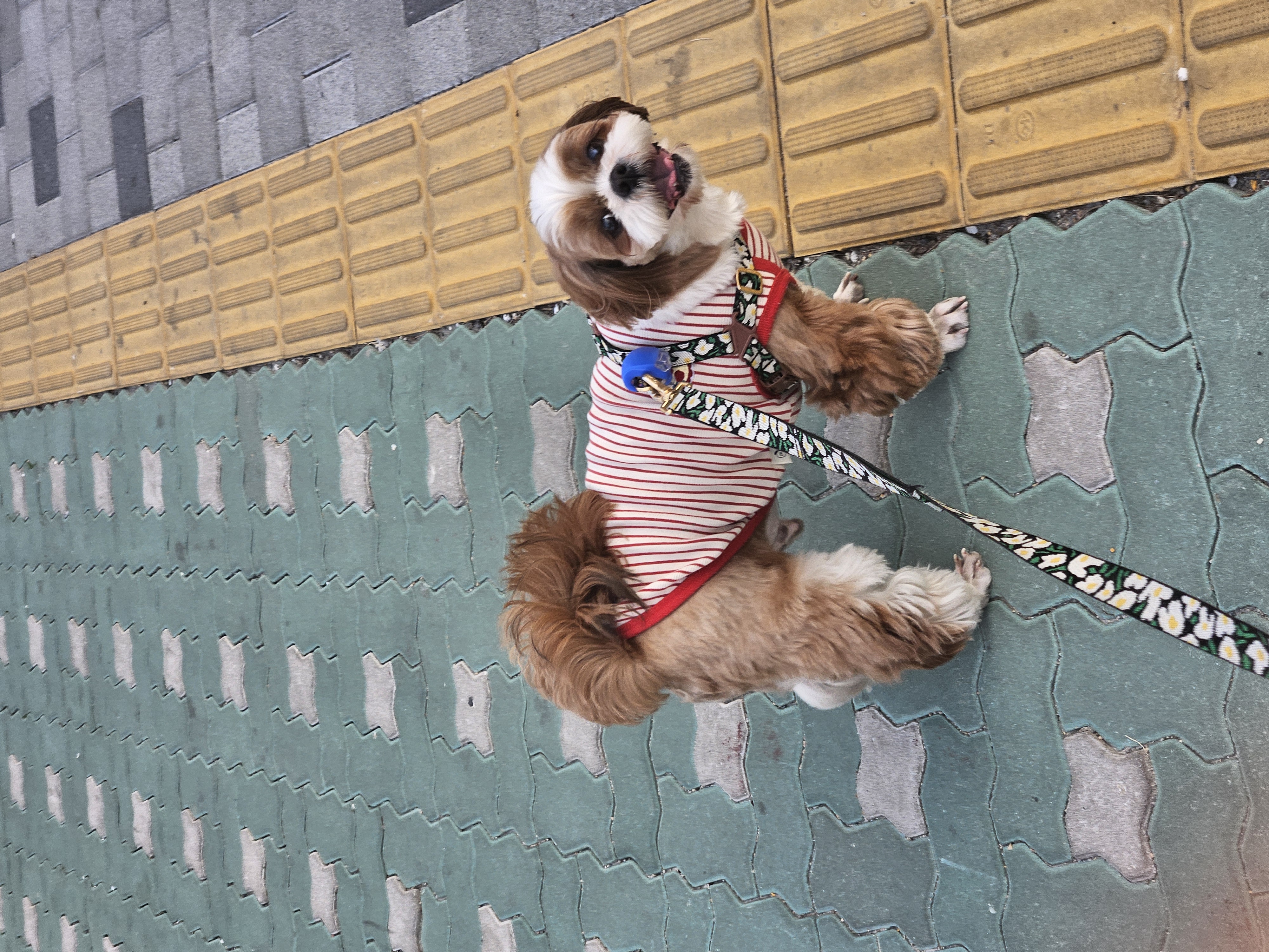 동동이(용자) 1년 되었어요