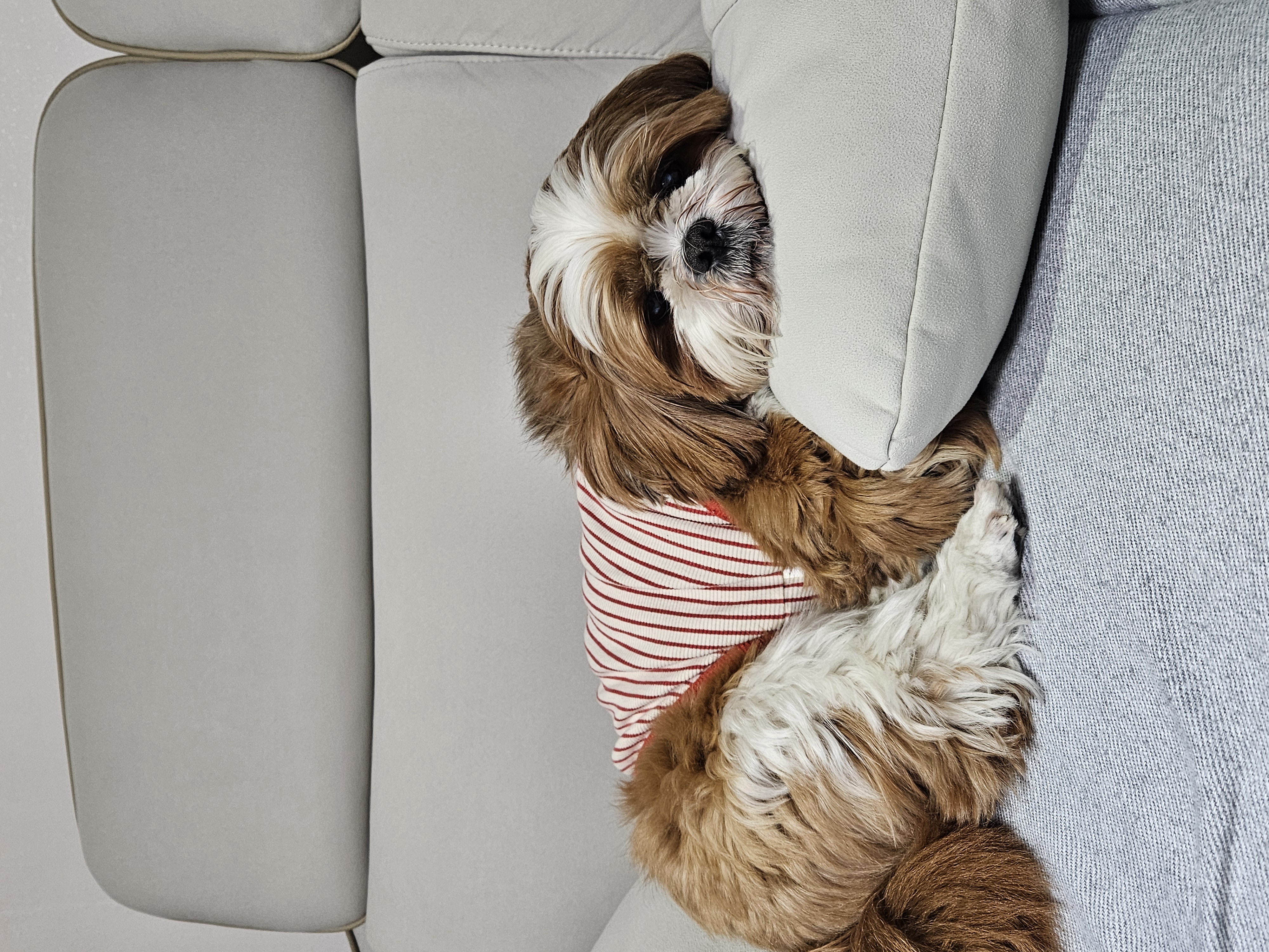 동동이(용자) 1년 되었어요