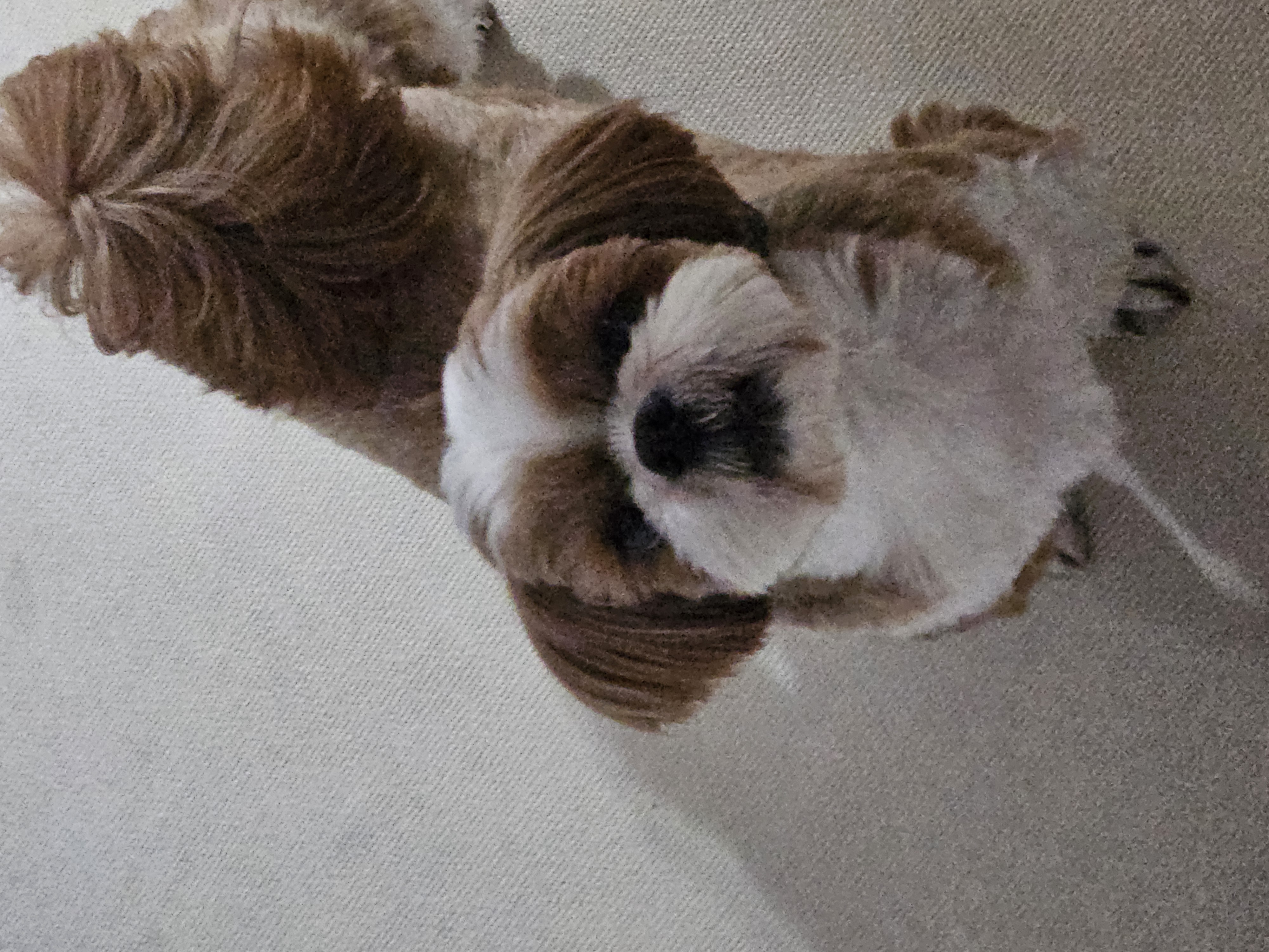 동동이(용자) 1년 되었어요