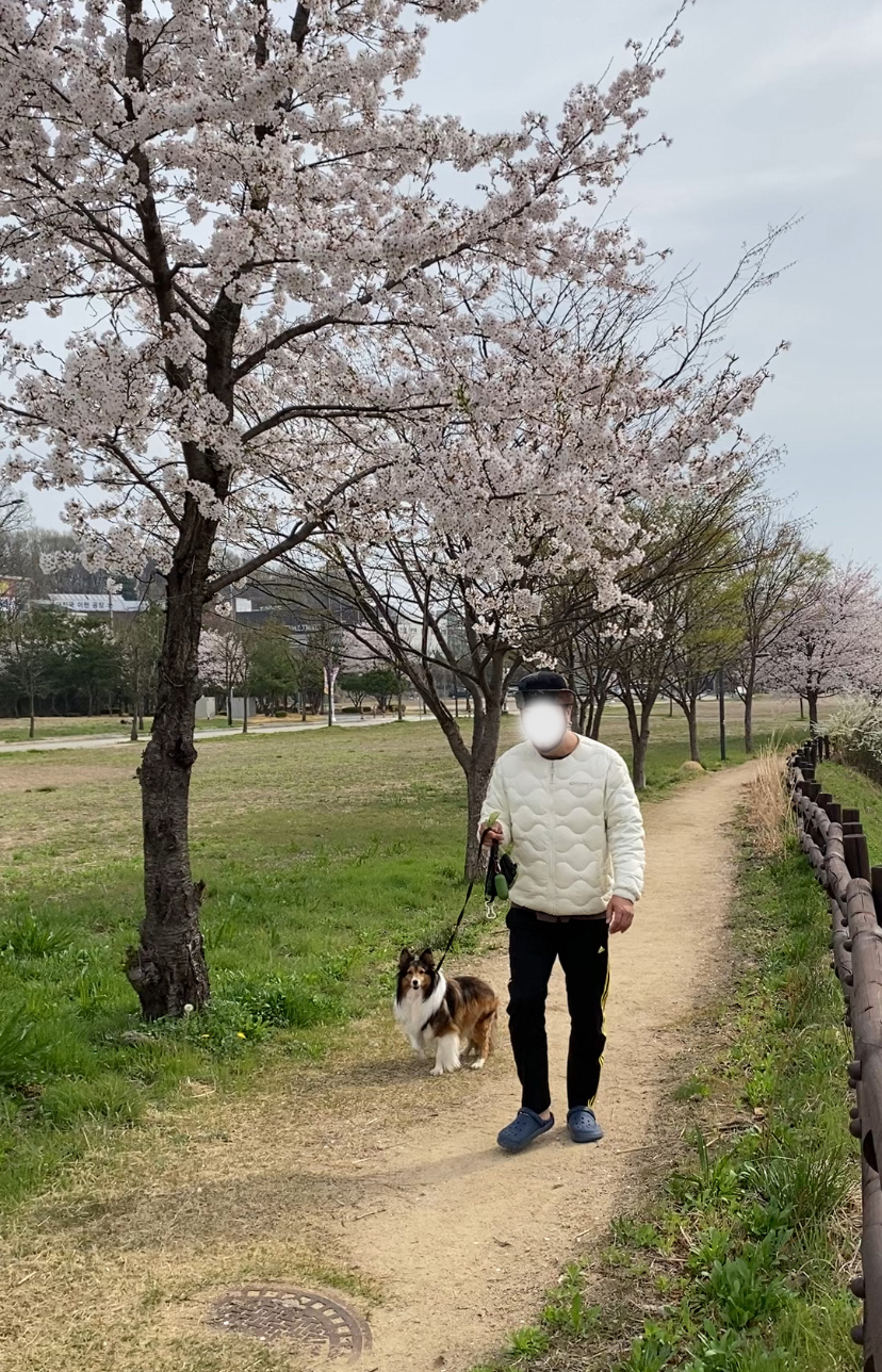 보미 소식 전해요~