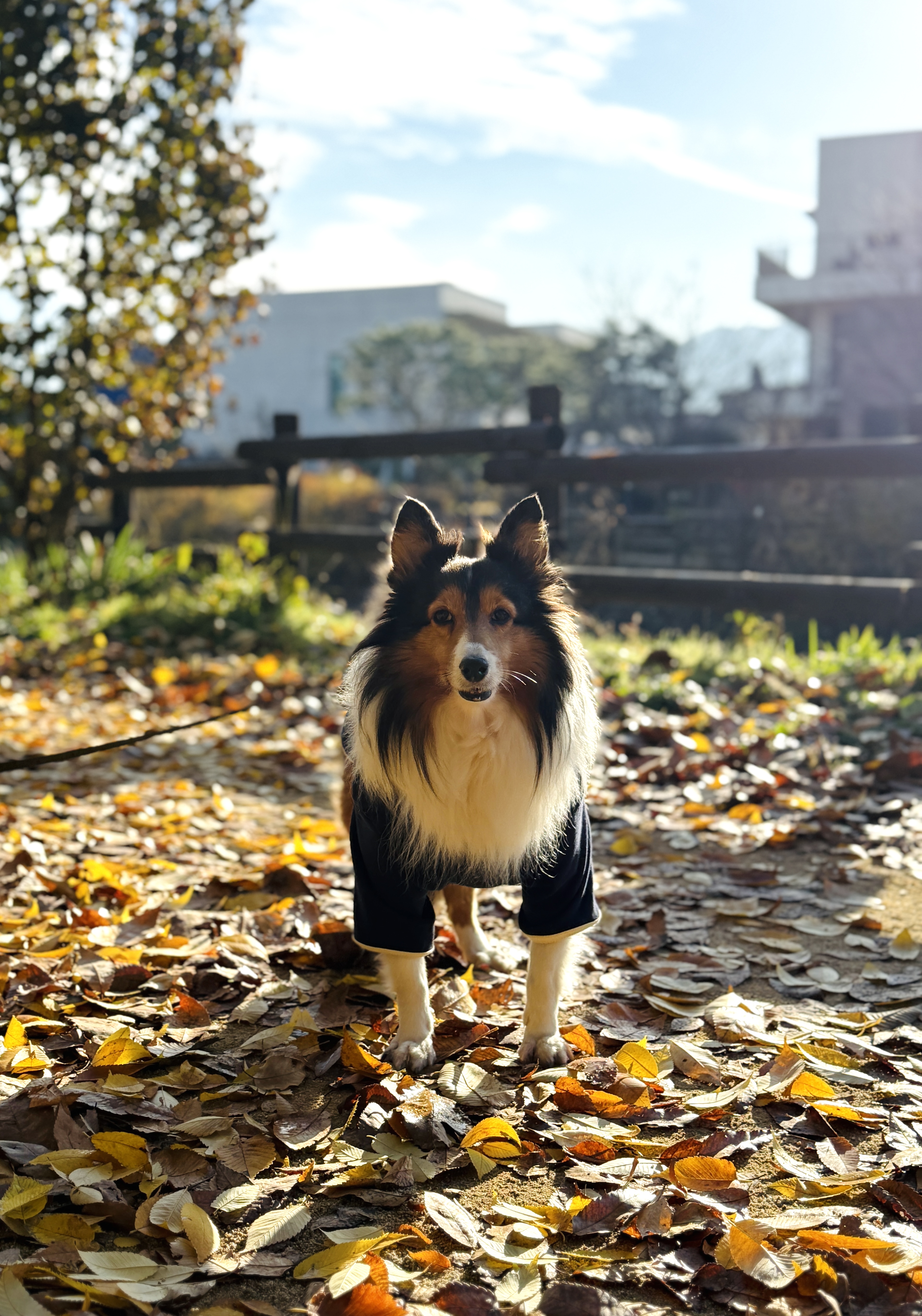 보미 소식 전해요~