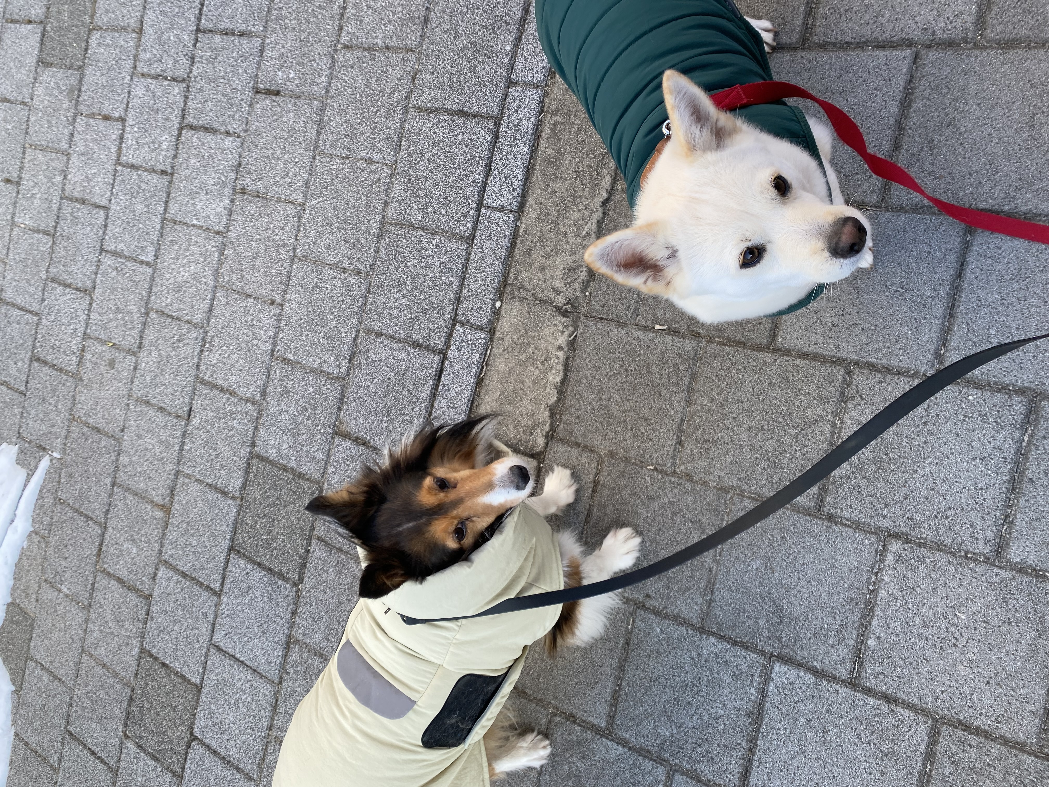 보미 소식 전해요~