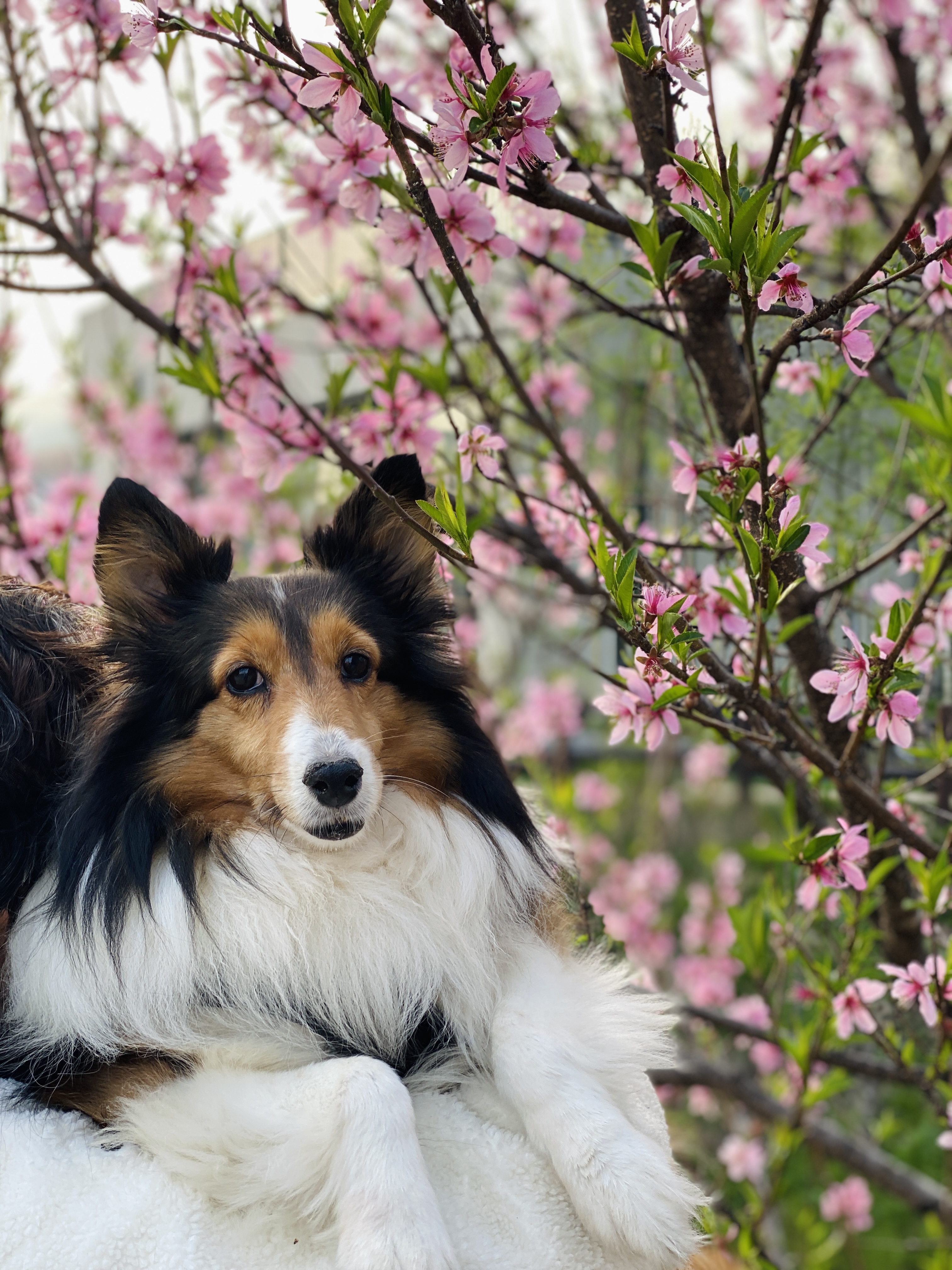 보미 소식 전해요~
