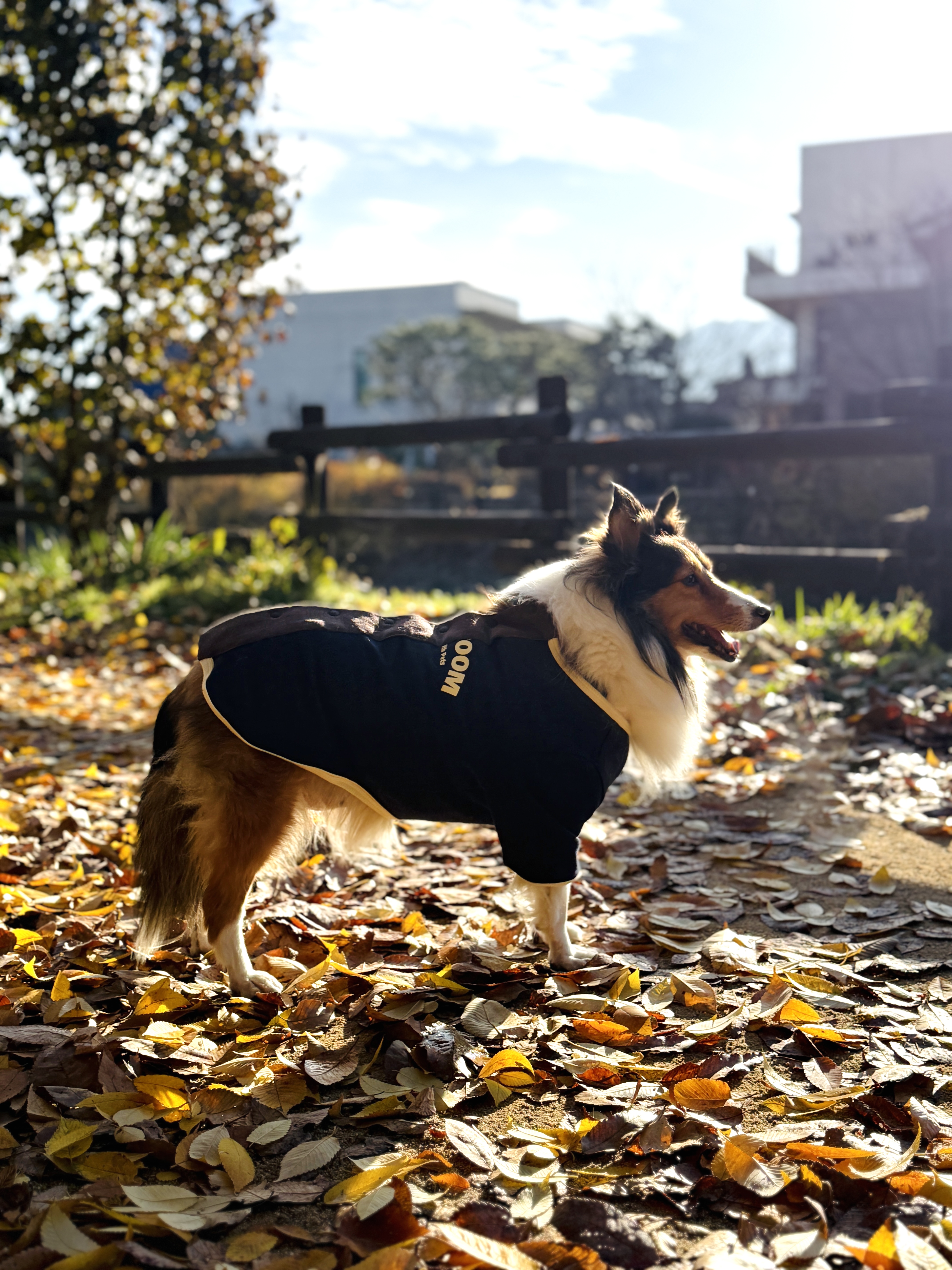 보미 소식 전해요~