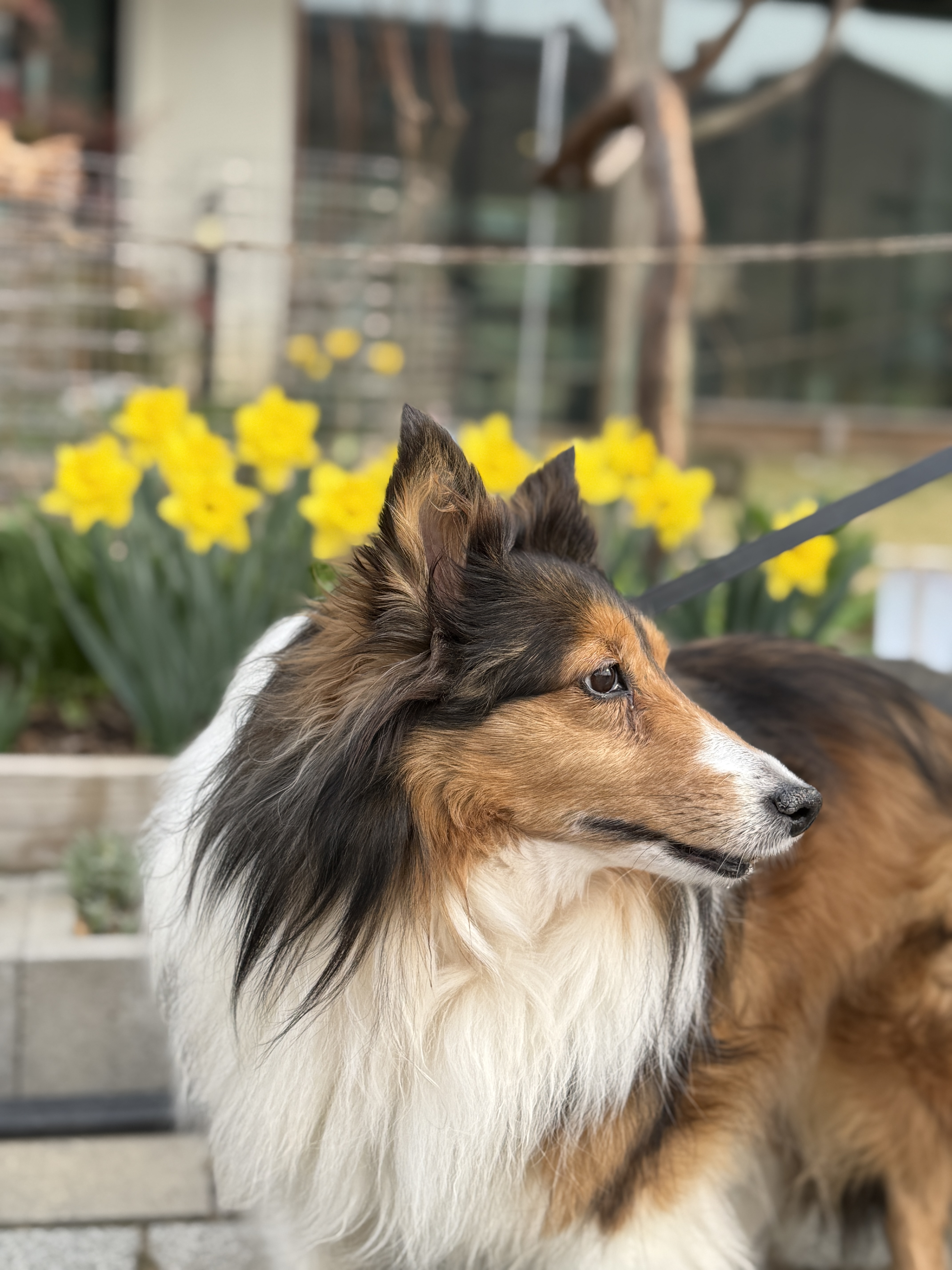 보미 소식 전해요~