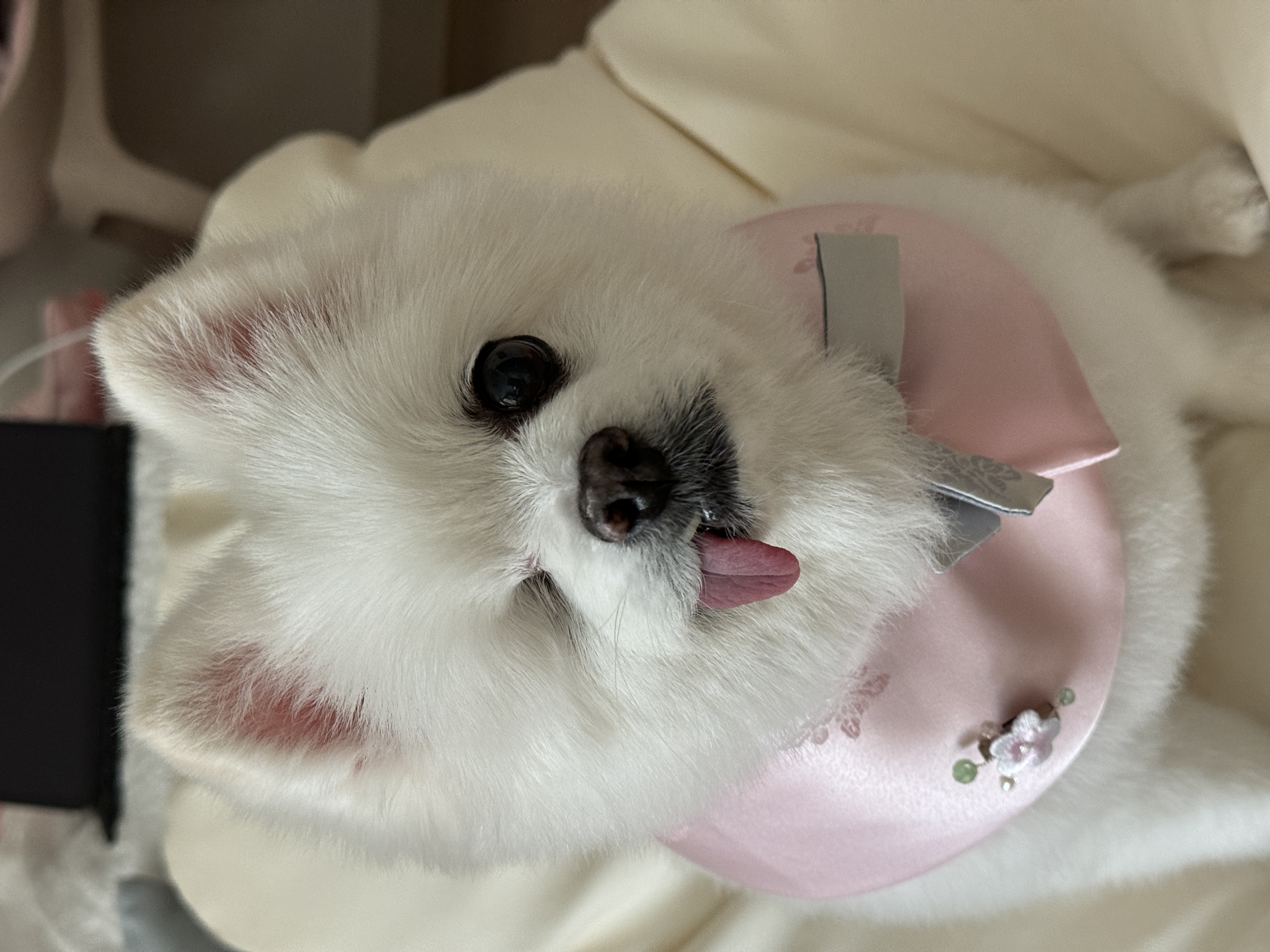 제가 세상에서 제일 사랑하는 우리 그림이 4번째 생일이 지났어요