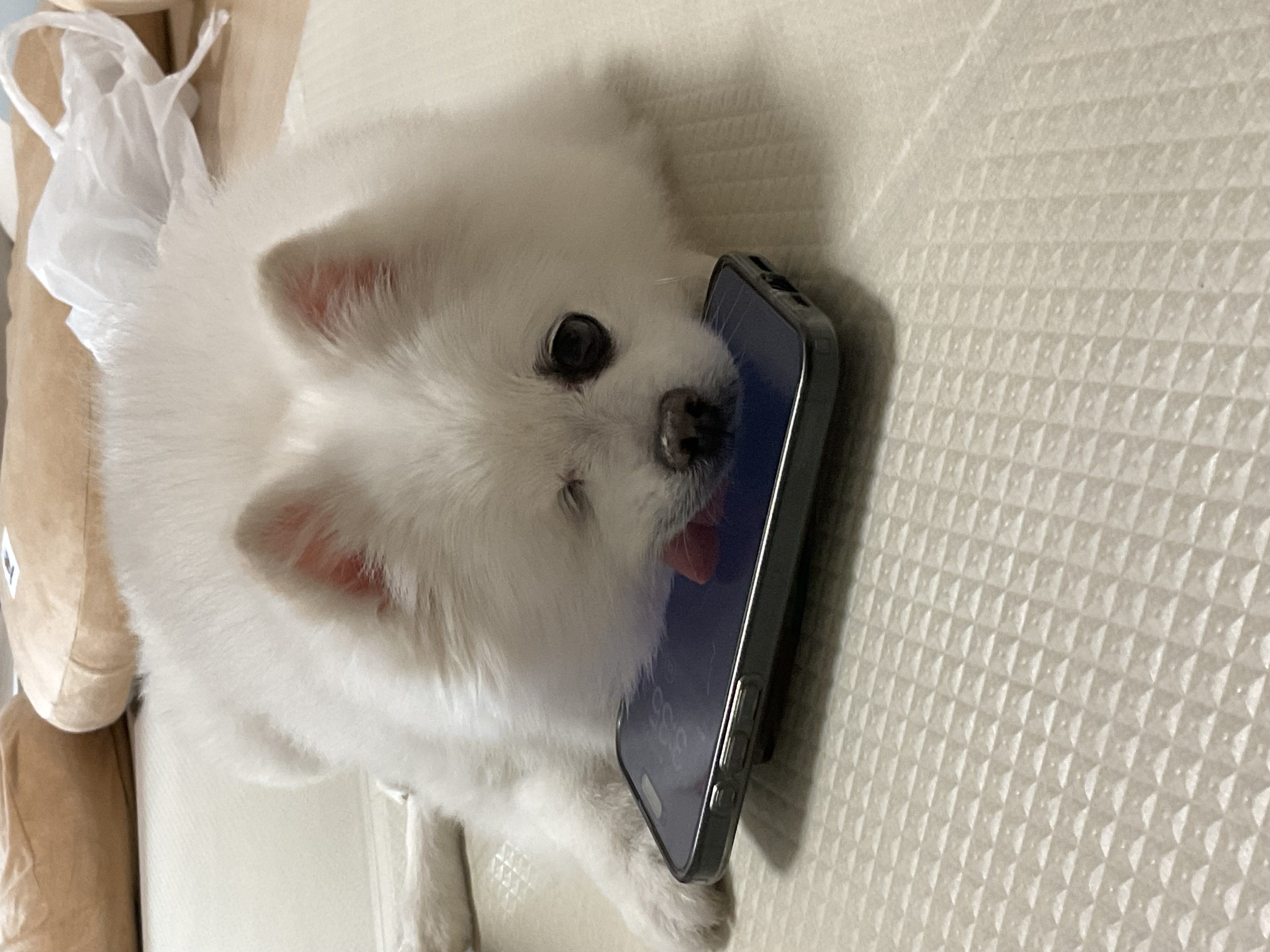 제가 세상에서 제일 사랑하는 우리 그림이 4번째 생일이 지났어요