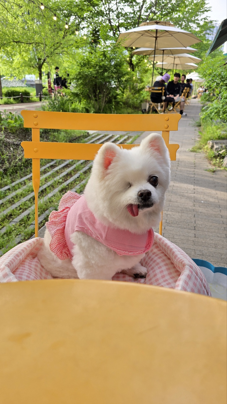 제가 세상에서 제일 사랑하는 우리 그림이 4번째 생일이 지났어요