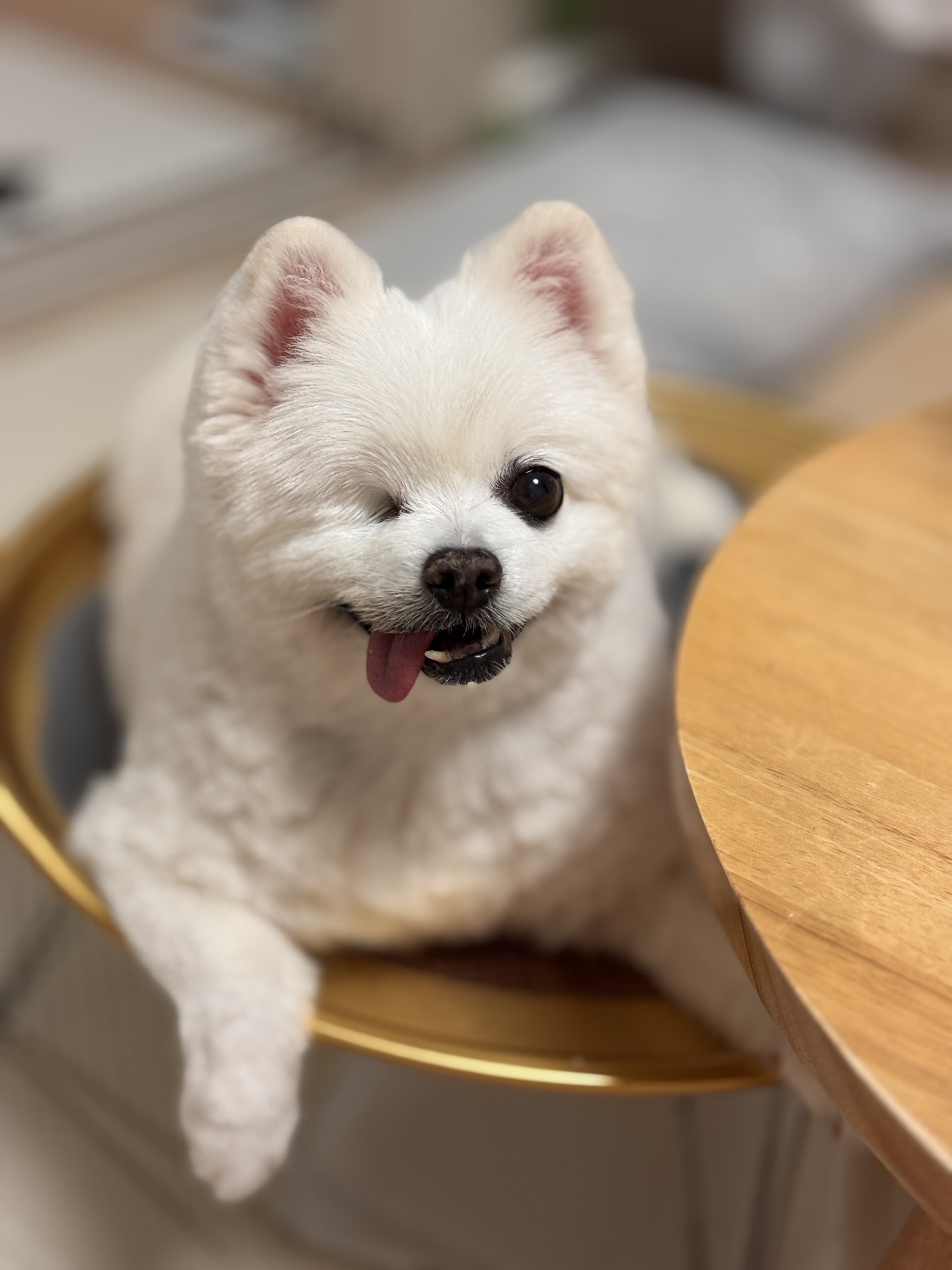 제가 세상에서 제일 사랑하는 우리 그림이 4번째 생일이 지났어요