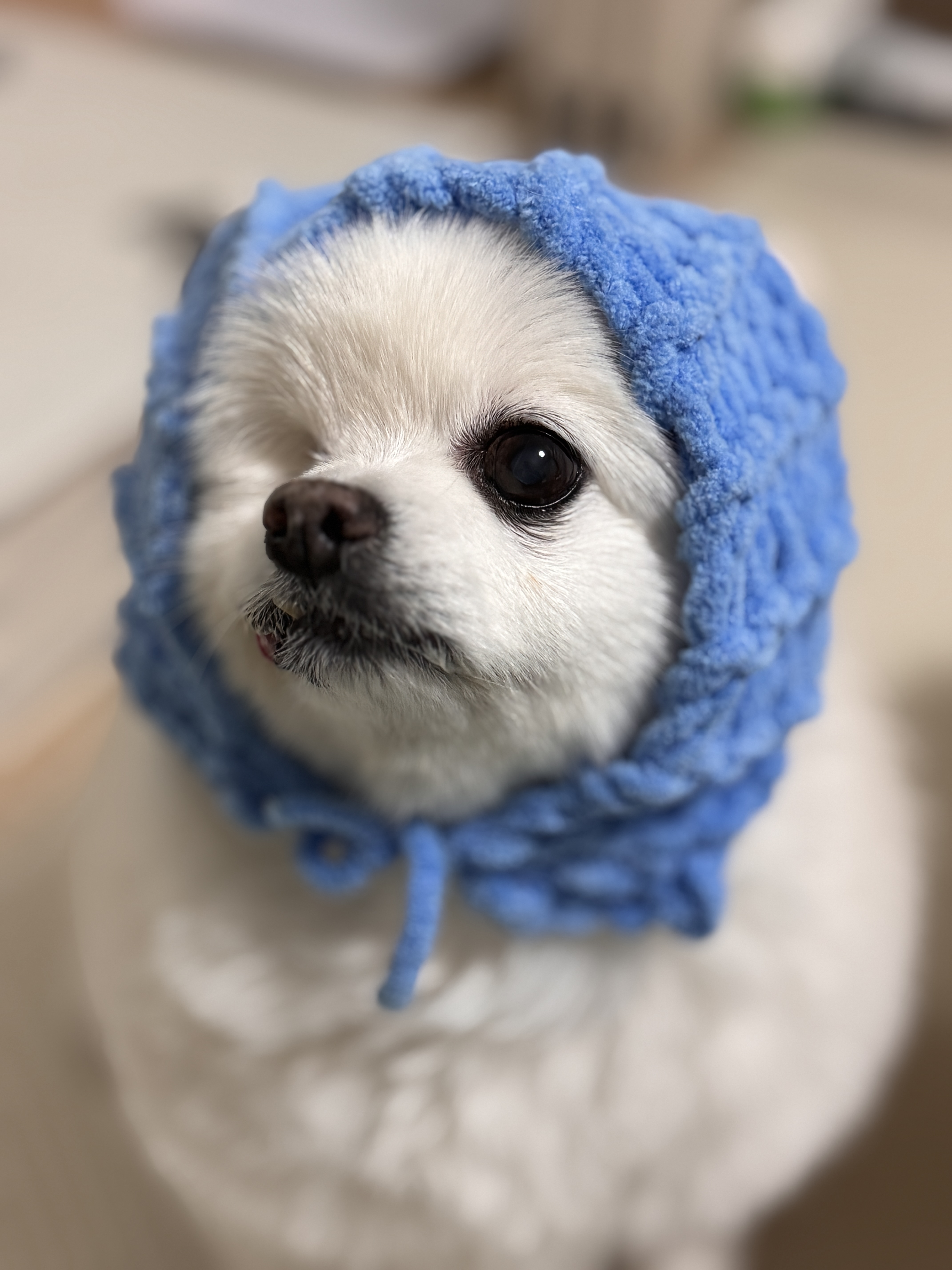제가 세상에서 제일 사랑하는 우리 그림이 4번째 생일이 지났어요