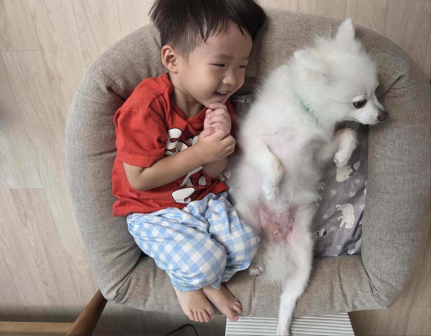 해피(뽀해)의 일상