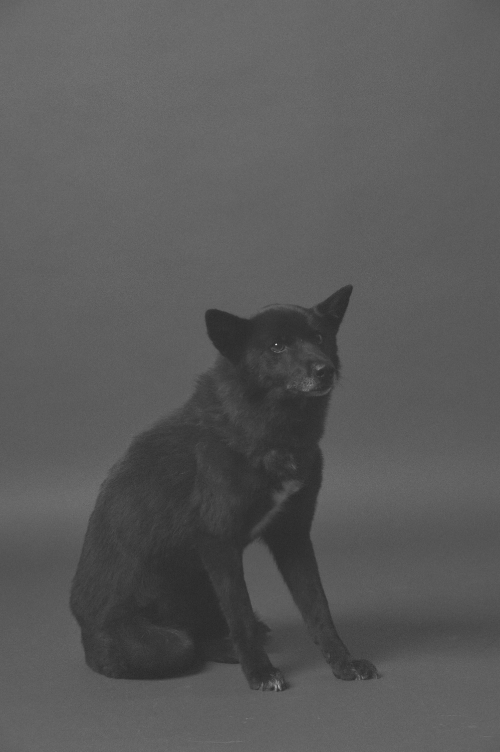 반달이와 가족사진