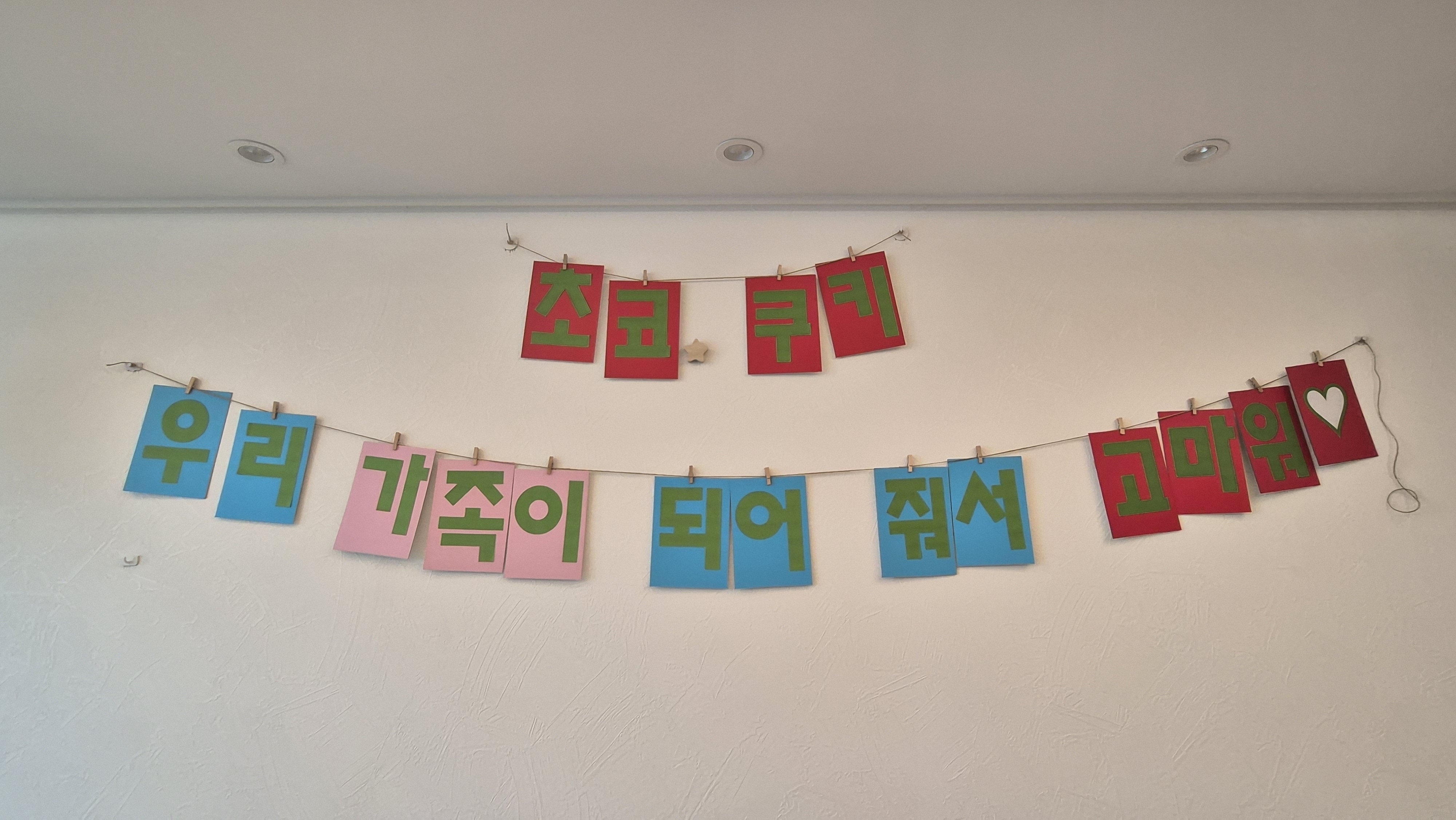 초코 쿠키 (두두 지지) 1주일 후기