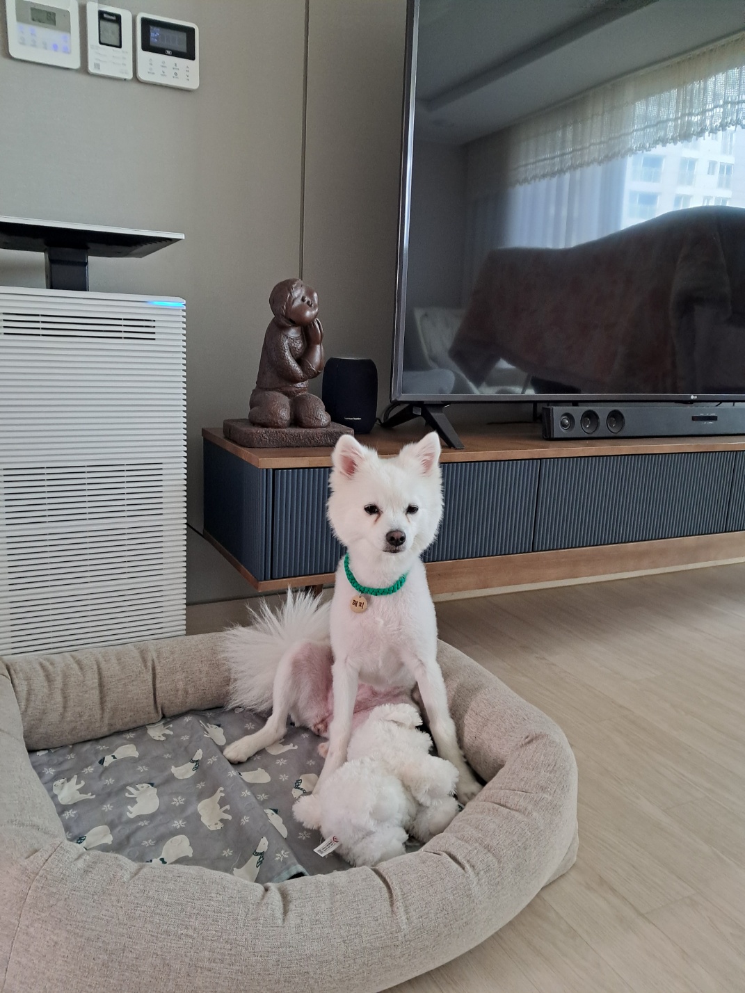 해피(뽀해)의 일상