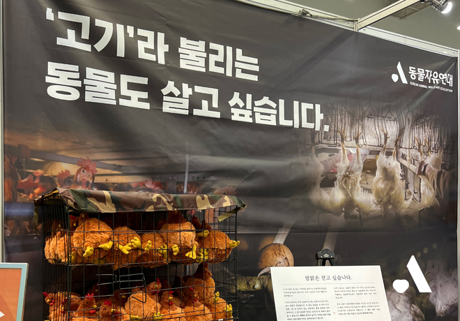 우리의 더 나은 한 끼, 동물들의 더 나은 하루