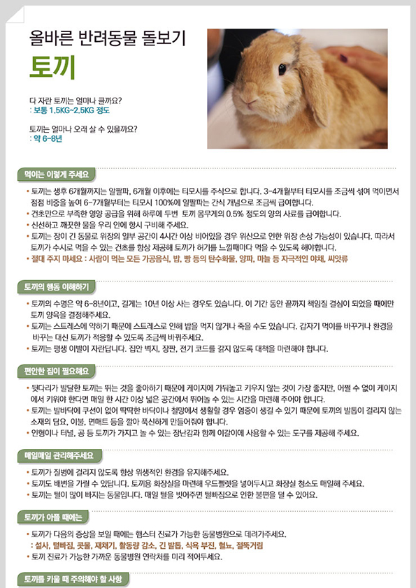 소동물을 키우기 전 기본적으로 알아야 할 사항-토끼