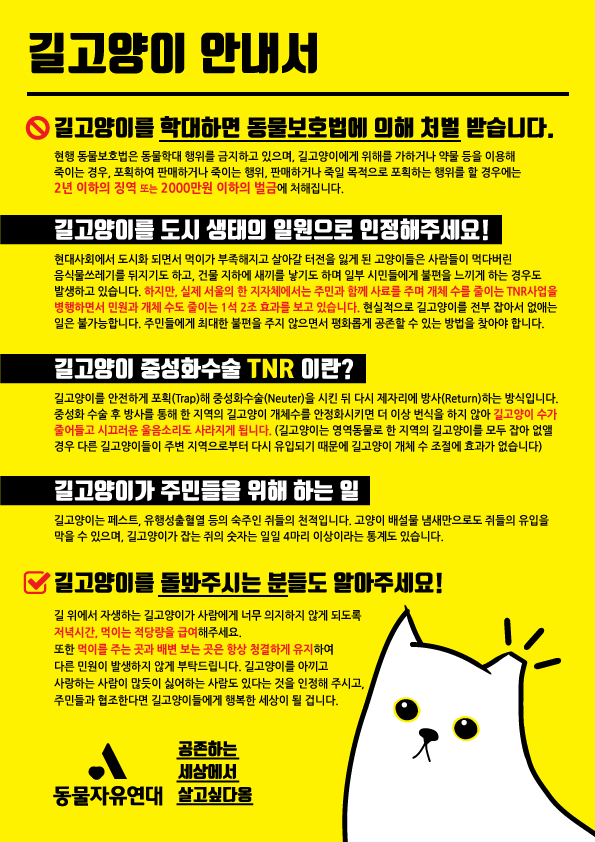 길고양이 안내서