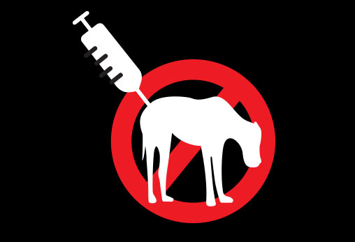 식용 사육 개 항생제 사용실태 조사 결과와 동물자유연대의 주장