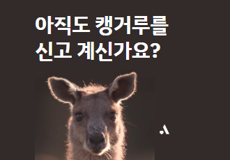 아직도 캥거루를 신고 계신가요? 캥거루 가죽 소비를 멈춰주세요.