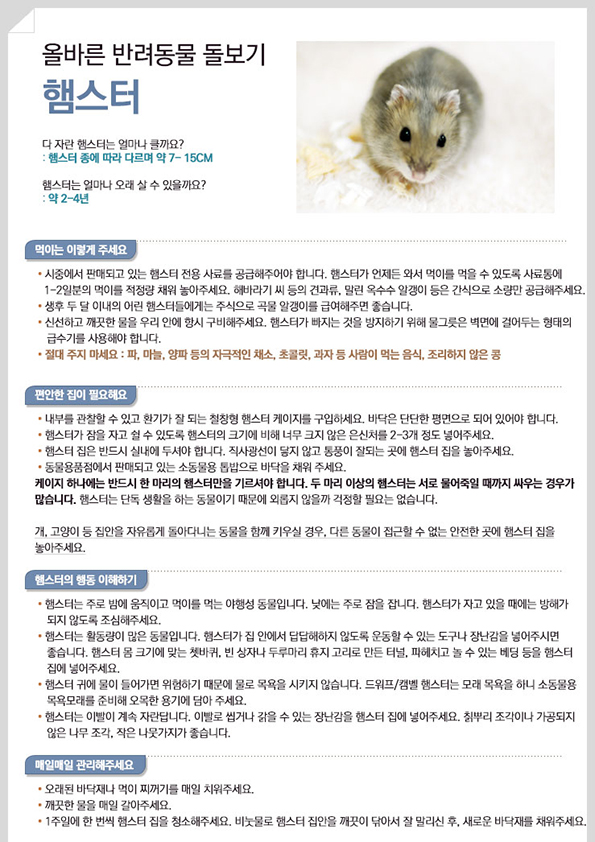소동물을 키우기 전 기본적으로 알아야 할 사항-햄스터